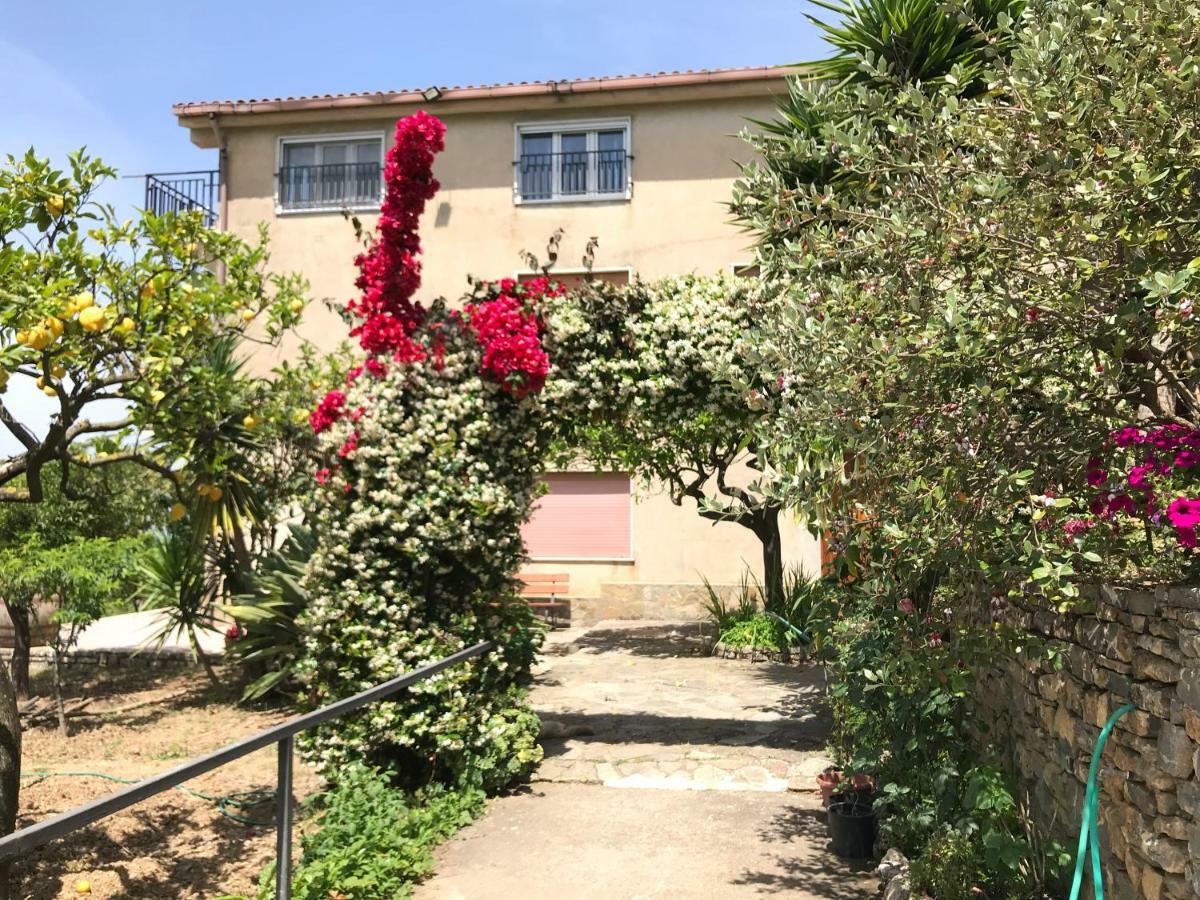 Apartament La Casa Del Maestro Attico Pisciotta Zewnętrze zdjęcie