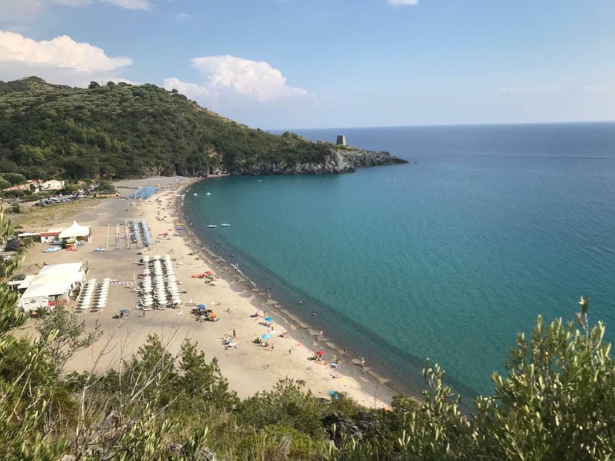 Apartament La Casa Del Maestro Attico Pisciotta Zewnętrze zdjęcie